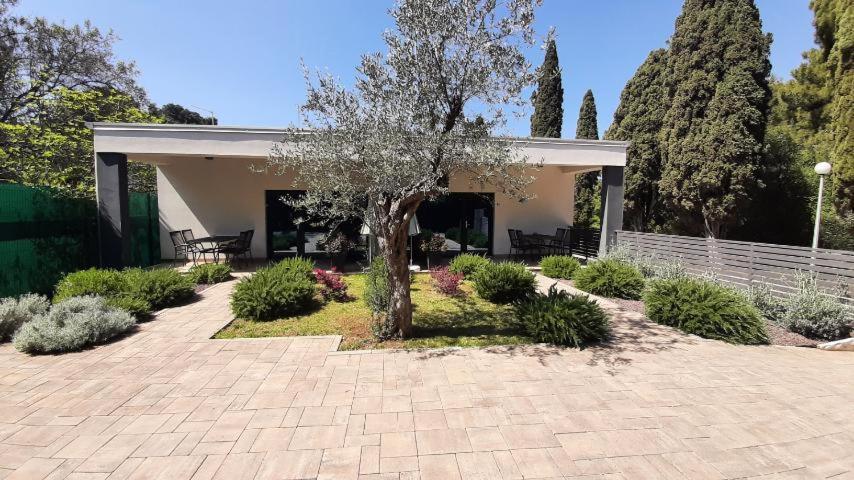 רוביני Apartmani Brajkovic מראה חיצוני תמונה